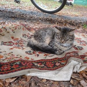 Meet your Posher, Adam